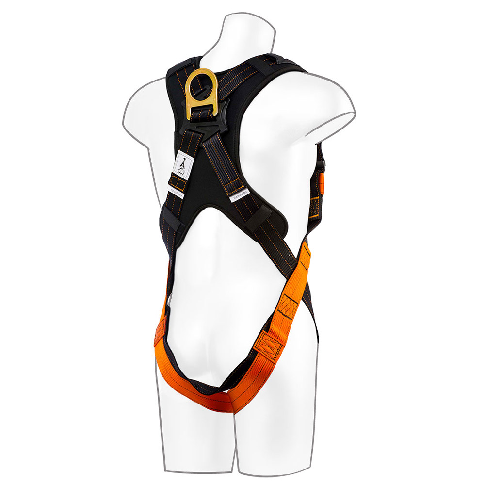 3 point Safety Harness